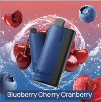 XCOR Hawaii Pro 23000 - wydajny vape jednorazowy 36ml z wyświetlaczem - MocPuff