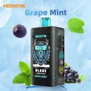 Merrymi Blade 30000 - nowoczesny jednorazowy e-papieros z portem Type-C - MocPuff