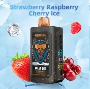 Merrymi Blade 30000 - nowoczesny jednorazowy e-papieros z portem Type-C - MocPuff
