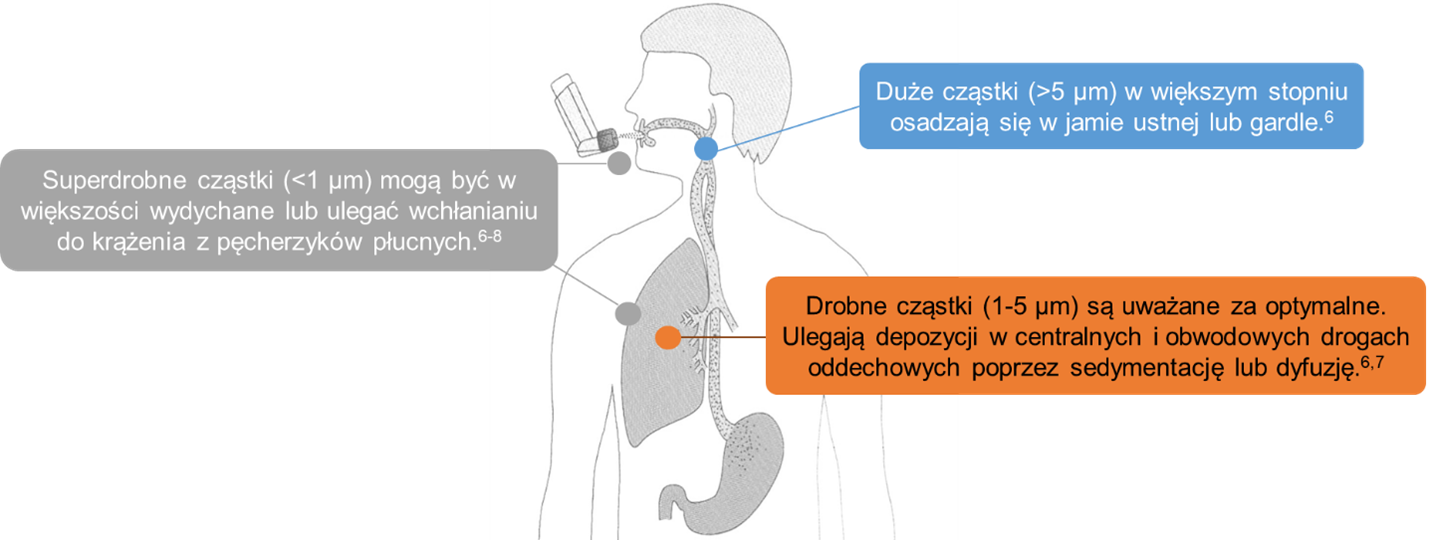 Diagram przedstawiający różne rozmiary cząstek aerozolu i ich miejsca depozycji w układzie oddechowym: duże cząstki w jamie ustnej i gardle, średnie w płucach, małe wydychane.